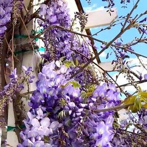 Closet Clean Out! Make me an offer!